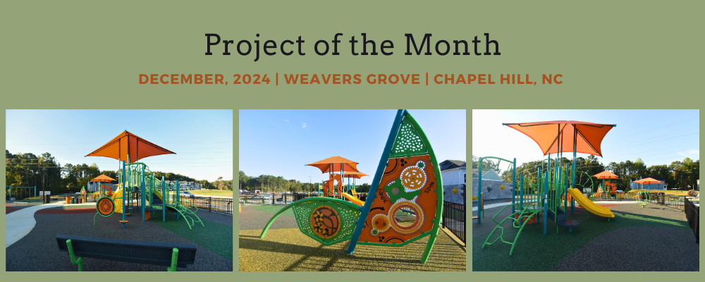 Project of the month- Dec